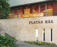 HQ-Lab magán vérvételi hely