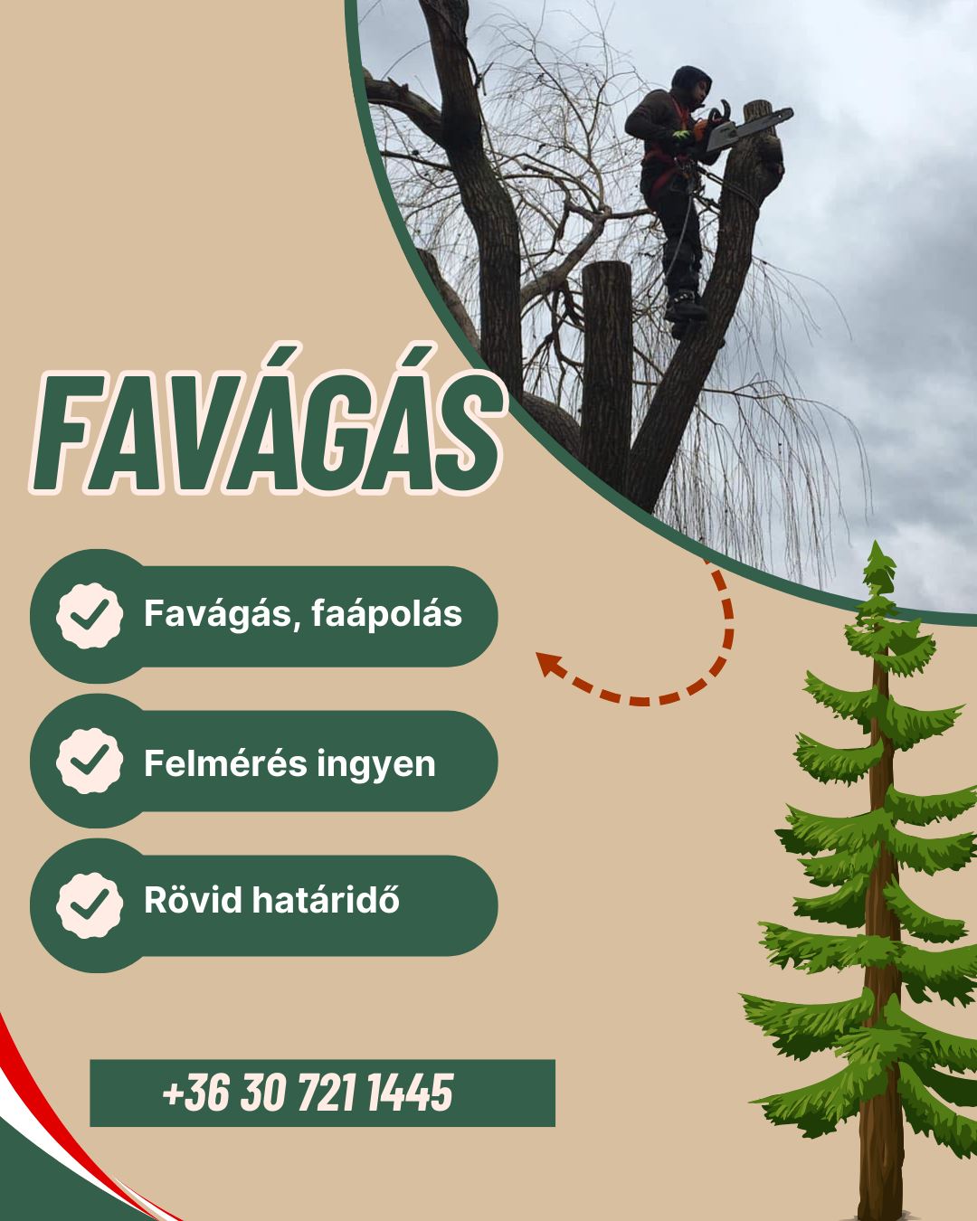 Favágás - Érd