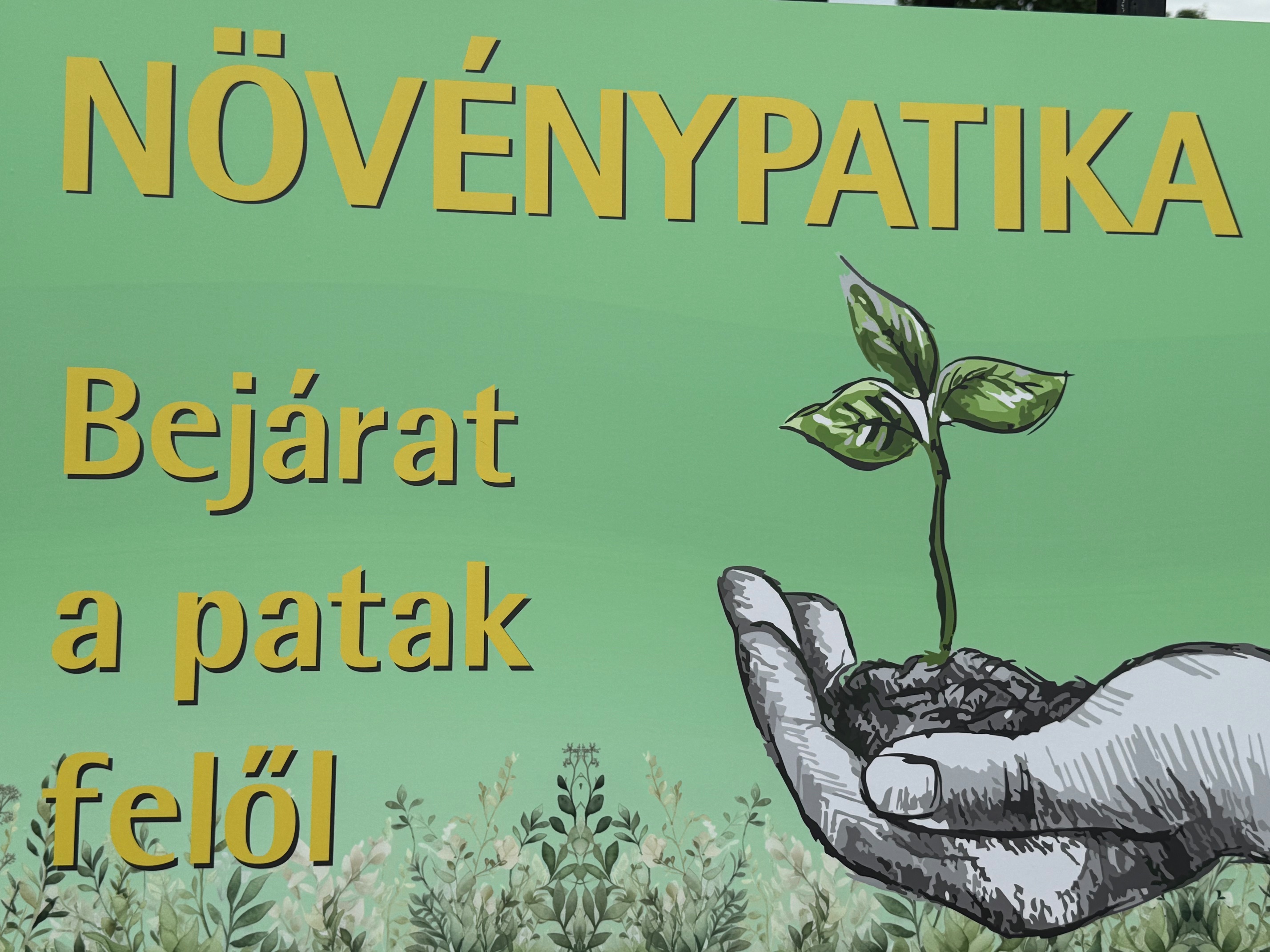 Növénypatika Gyöngyös